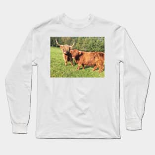 Scottish Highland Cattle Cow and Calf 2110 Long Sleeve T-Shirt